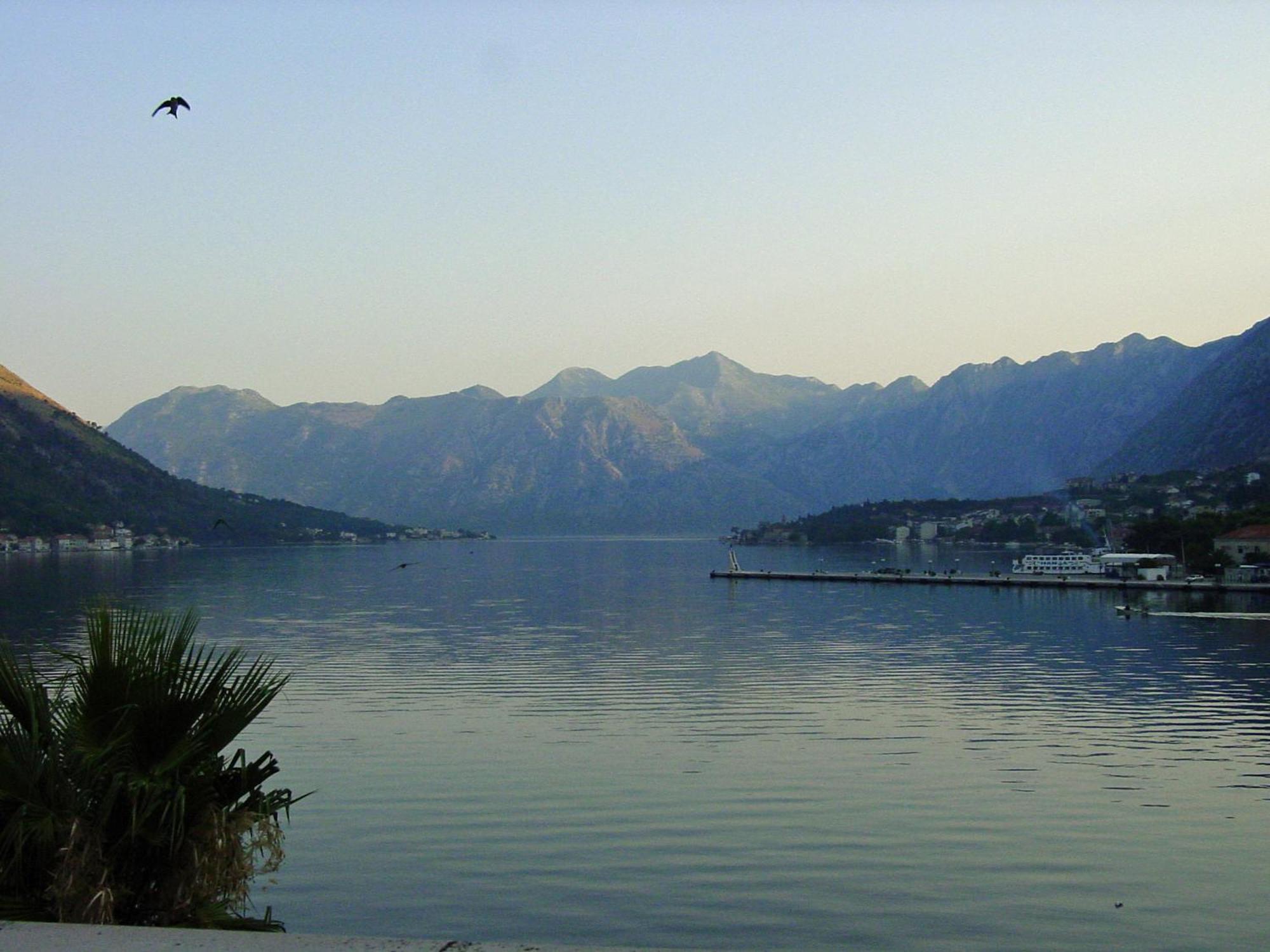 Apartment Mimosa Kotor Exterior photo